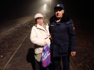 Пошла кормить собаку, заблудилась в лесу: в Ликино-Дулеве спасатели нашли женщину