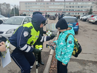 В округе проверяют безопасность детей на нерегулируемых переходах