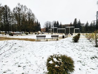 В Пущине откроют зимнее кафе и бесплатный каток с искусственным льдом