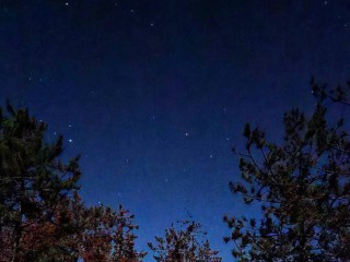 Гороскоп для всех знаков Зодиака на 5 декабря 2025: Овнам, Тельцам и Близнецам достается прибыль, а у Весов, Рыб и Львов могут обмануть