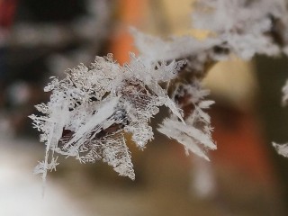 Какой народный праздник отмечают 10 декабря 2025: что можно и нельзя делать на Романов день