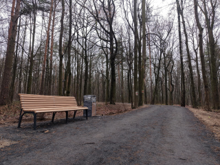 К Новому году будет готов: в Люберцах завершают обустройство Томилинского лесопарка