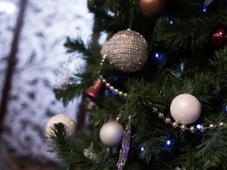 Где купить новогоднюю елку в Домодедове