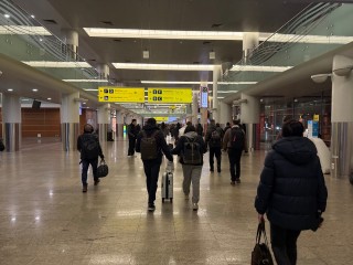 В Домодедово и Жуковском объявлены временные ограничения на полеты