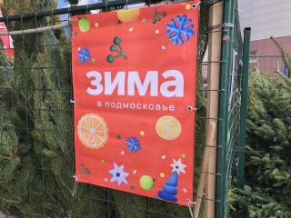 Праздник к нам приходит: где в Луховицах и рядом с ним работают официальные елочные базары