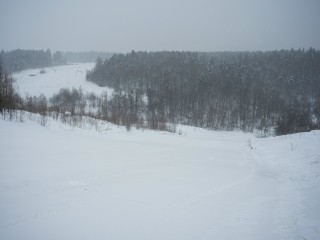 В Красногорске ответили на видеообращение жителей о застройке Черневской поляны