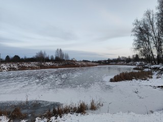 Зима сбежала: плюсовая температура возвращается в Подмосковье