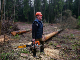 Спорт вместо сухостоя: в Истре предложили создать трассу для квадроциклов в лесу