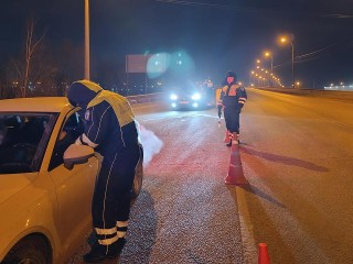 Полиция разыскивает водителя, который сбил женщину с собакой в Мытищах