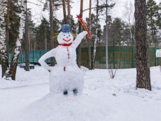 В Запрудни появился Гринч? Кому и зачем понадобилось ломать снеговика?