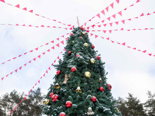 «Новый год под шубой» в парках округа: подробная афиша праздника