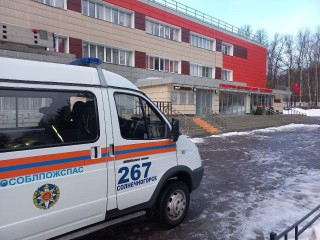 Вызов с усилением: зачем скорой понадобились спасатели в деревне Логиново