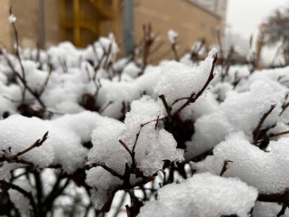 В Подмосковье выпало 10 см снега за ночь и это не предел