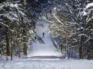 Старт в Новый год: жители Одинцова смогут на бегу загадать желания в парке