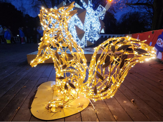 «Пусть нет снега, но настроение праздничное»: на «Ивановских прудах» прошли массовые гуляния