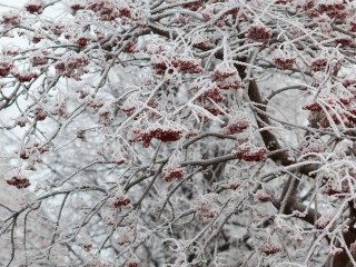 Похолодание в Подмосковье: в Истре усилили работу коммунальных служб