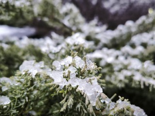 Это была только разминка: самую холодную ночь с начала зимы зафиксировали в Подмосковье