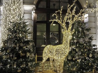 Врачи предупредили об опасности бессонной новогодней ночи