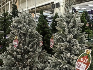 Стало известно, где можно купить новогоднюю елку в Одинцове