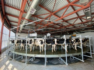 Самые молочные: итоги сельскохозяйственного сезона подвели в Озерах