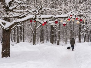 На Новый год будет идти снег! Синоптики обещают 31 декабря зимнюю сказку в Подмосковье