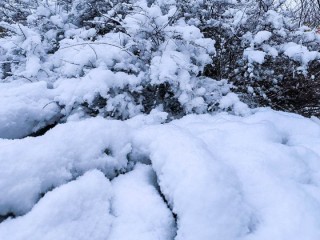 Новый снежный залп ударит по Подмосковью меньше чем через сутки