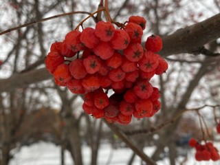 Сюрпризы погоды: к чему стоит готовиться жителям Подмосковья на этой неделе