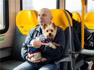 Лапка на экране — и билет оформлен: как теперь платить за питомца в подмосковной электричке