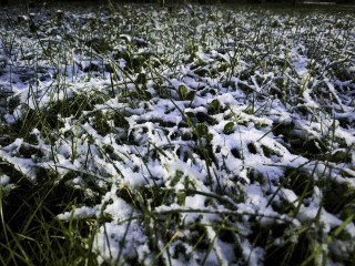 Зима покажет характер: в Подмосковье идет первая метель сезона