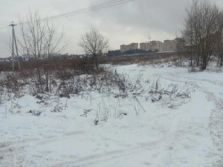 Коммунальщики убрали мусор в Лосино-Петровском после обращения жителей