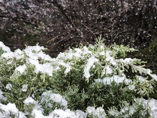 Мороз — в Новый год! Синоптики обещают снежную сказку в Подмосковье