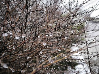 Погода резко изменится: в Подмосковье придет потепление до +3°C