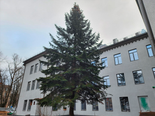 В поликлинике №1 Королева начали монтаж перил и медицинских панелей