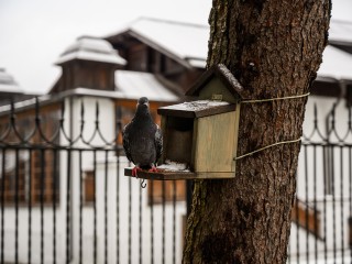Похолодание сдвигается на день: стало известно, когда в Подмосковье резко ударят морозы