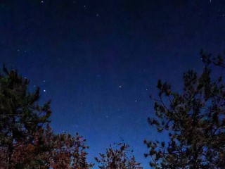 Гороскоп на 10 декабря 2025 для всех знаков Зодиака: Овнам, Тельцам и Весам не стоит идти на поводу у других, а Близнецов, Раков и Козерогов ждет повышение по службе