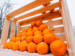 Эти мандарины разлетаются быстрее новогодних гирлянд: какие сорта лучше взять прямо сейчас в Подмосковье
