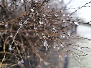 Погода в Подмосковье 2 декабря: что ждать