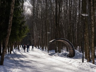 Прогноз геомагнитной активности 29 декабря: вероятность магнитной бури менее 7%