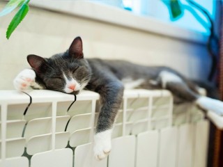 В Подольске ведутся работы на котельной из‑за скачка газа