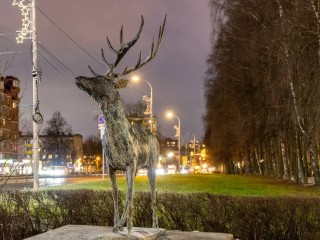 Улицы Лобни заполонили олени: почему эти животные стали главным символом праздника