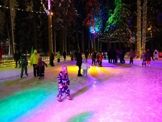 Лед среди заснеженных елей: в Мытищинском лесопарке открылся новый каток