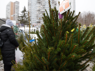 В Люберцах перед Новым годом заработают шесть елочных базаров