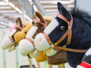 «Задобрить Красную Лошадь»: ореховозуевцы массово скупают товары для хоббихорсинга