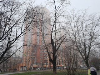 Туман окутал Реутов живописной дымкой