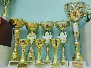 Путь к успеху: как коллективы народного танца из Химок пришли к громким победам