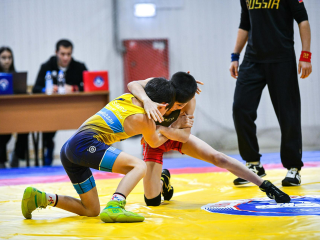 В Химках определили сильнейших молодых борцов города