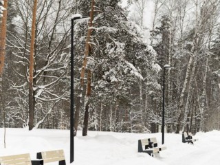 Метели и стужа? Синоптик Леус назвал дату прихода настоящей зимы в Подмосковье