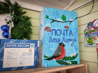 Отправить письмо Деду Морозу можно на «Бронницком лугу»