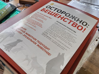 В четырех деревнях под Можайском карантин по бешенству снимут через 120 дней