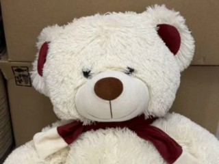 Приуныл: белый медведь в Егорьевске разочаровался в зиме